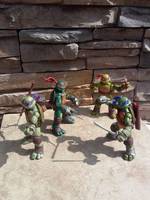 Teenage Mutant Ninja Turtles (Teenage Mutant Ninja Turtles) Custom Action Figure