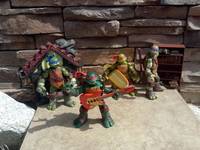 Teenage Mutant Ninja Turtles (Teenage Mutant Ninja Turtles) Custom Action Figure