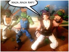 Teenage Mutant Street Fighter Turtles..Vanilla Dan SDCC Exclusive (Teenage Mutant Ninja Turtles) Custom Action Figure