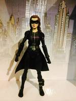 Arrow Huntress (DC Universe) Custom Action Figure