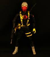 Cobra Python Patrol Officer (G.I. Joe) Custom Action Figure