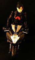Cobra Baroness 2.5 (G.I. Joe) Custom Action Figure