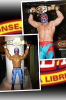 Dos Caras Jr. (Alberto Del Rio) (Rodriguez) (Wrestling) Custom Action Figure
