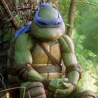 TMNT Movie Leonardo (Teenage Mutant Ninja Turtles) Custom Action Figure