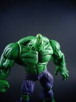 Hulk (Marvel Universe) Custom Action Figure