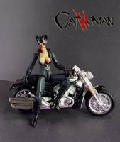 Catwoman (Marvel Universe) Custom Action Figure