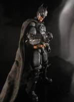 The Batman (DC Universe) Custom Action Figure