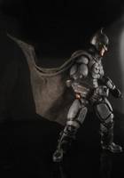 The Batman (DC Universe) Custom Action Figure