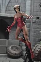 Crimson Fox (DC Universe) Custom Action Figure