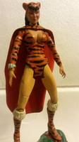 Tigress (DC Universe) Custom Action Figure
