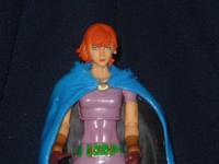 Sheila the Thief (Dungeons and Dragons) Custom Action Figure
