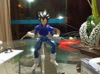 Vegeta ( without Armor) (Dragonball Z) Custom Action Figure