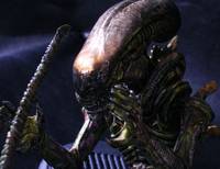 Alien Kits: Darkhorse (Aliens) Custom Statue / Bust