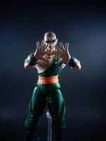 S.H Figaurts Tien Shinan (Dragonball Z) Custom Action Figure