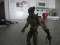 Wolverine (Inner Fury) (Marvel Universe) Custom Action Figure