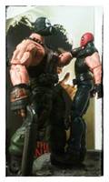 Red Hood (Alternate Costume) (DC Universe) Custom Action Figure