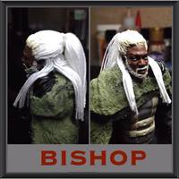 Bishop DOFP (Marvel Universe) Custom Action Figure