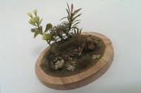 Endor Ewoks (Star Wars) Custom Diorama / Playset