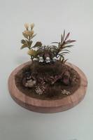 Endor Ewoks (Star Wars) Custom Diorama / Playset