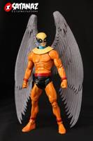 Birdman (Misc) Custom Action Figure