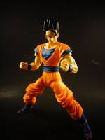 S.H Figuarts Mystic Gohan (Dragonball Z) Custom Action Figure