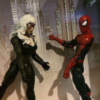 Black Cat Redesign (Spider-Man) Custom Action Figure