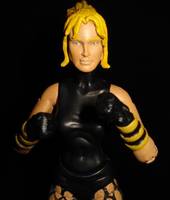 Black Canary (DC Universe) Custom Action Figure
