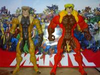 Sabretooth (Marvel vs Capcom) Custom Action Figure