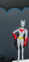 Batwoman (Justice League Unlimited) Custom Action Figure