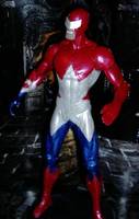 Agent America (DC Direct) Custom Action Figure