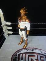 Dc Aztek (DC Universe) Custom Action Figure