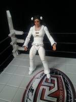 DC Phantom Girl (DC Universe) Custom Action Figure