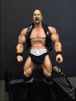 Stone Cold Motu Style (Wrestling) Custom Action Figure