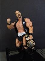 Stone Cold Motu Style (Wrestling) Custom Action Figure