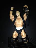 Stone Cold Motu Style (Wrestling) Custom Action Figure