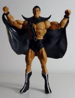 BLACK CONDOR I Richard Grey Jr Freedom Fighters (DC Universe) Custom Action Figure