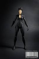 Catwoman (DC Direct) Custom Action Figure