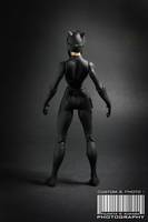 Catwoman (DC Direct) Custom Action Figure