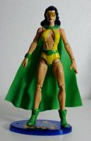 PHANTOM LADY I Sandra Knight Freedom Fighter Member (DC Universe) Custom Action Figure