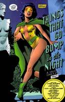 PHANTOM LADY I Sandra Knight Freedom Fighter Member (DC Universe) Custom Action Figure
