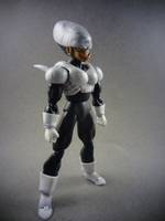 S.H Figuarts Pui Pui (Dragonball Z) Custom Action Figure