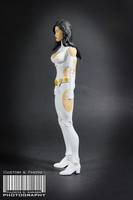 DCUC Phantom Girl, Legion of Superheroes (DC Universe) Custom Action Figure