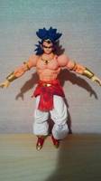 S. H. Figuarts Broly (Dragonball Z) Custom Action Figure