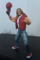 KOF Terry Bogard  (Triple H Cosplay) (Crossover) Custom Action Figure