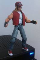 KOF Terry Bogard  (Triple H Cosplay) (Crossover) Custom Action Figure