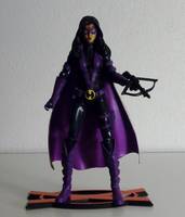 HUNTRESS Helena Bertinelli JLA & Birds of Prey Member (DC Universe) Custom Action Figure
