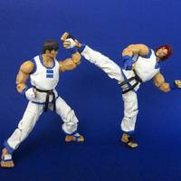 Hwoarang (Tekken) Vs. Kim Kaphwan (FF-KOF) (Tekken) Custom Action Figure