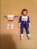 Super Sayian God Vegeta (Dragonball Z) Custom Action Figure