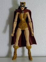 TIGRESS I Paula Brooks Young All-Stars Member (DC Universe) Custom Action Figure