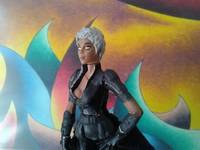X-Men Days of Future past Storm (Marvel Legends) Custom Action Figure